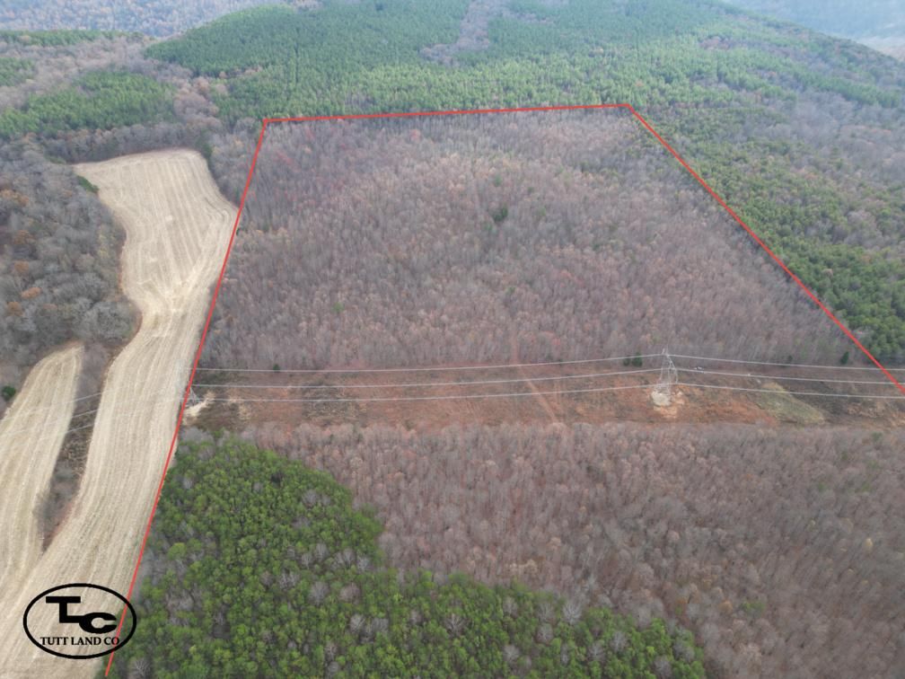County Road 39, Fackler, AL 35746 LandWatch