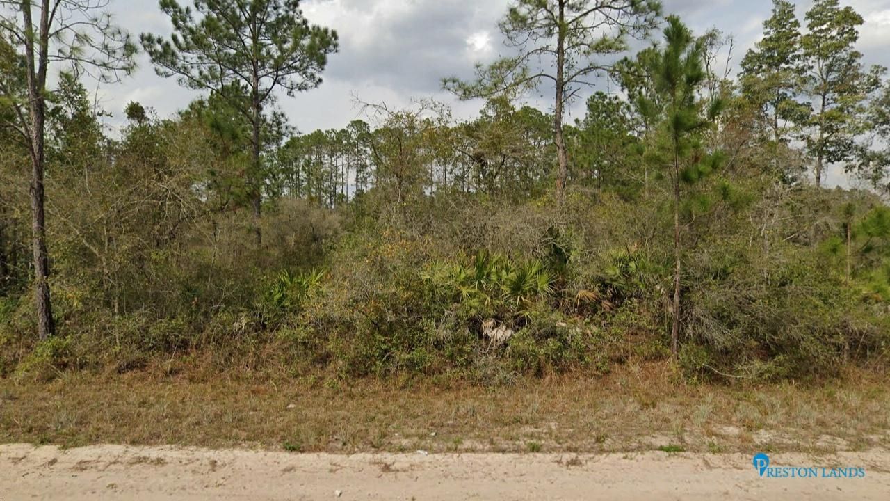 Interlachen, Putnam County, FL Recreational Property, Undeveloped Land