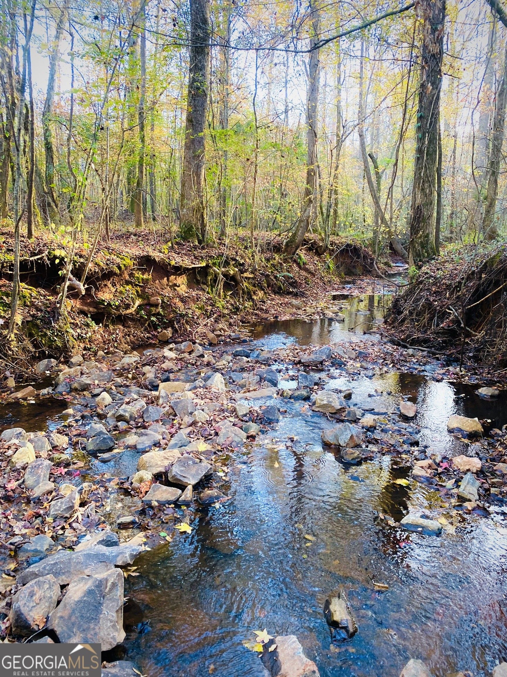 Yatesville, Lamar County, GA Undeveloped Land for sale Property ID