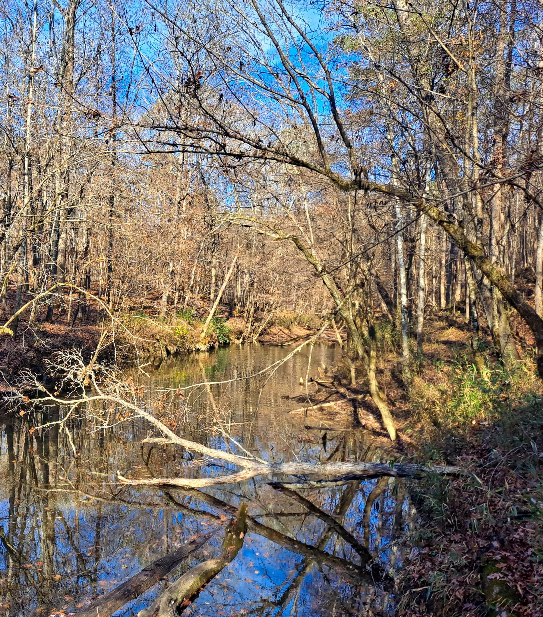 Williamstown Road, Parrish, AL 35580 MLS Williamstown LandWatch