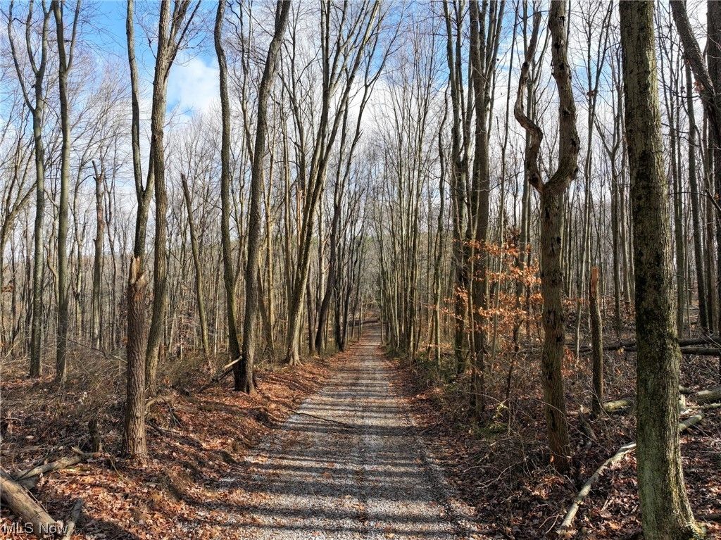 Danville, Knox County, OH Undeveloped Land for sale Property ID 418367189 LandWatch