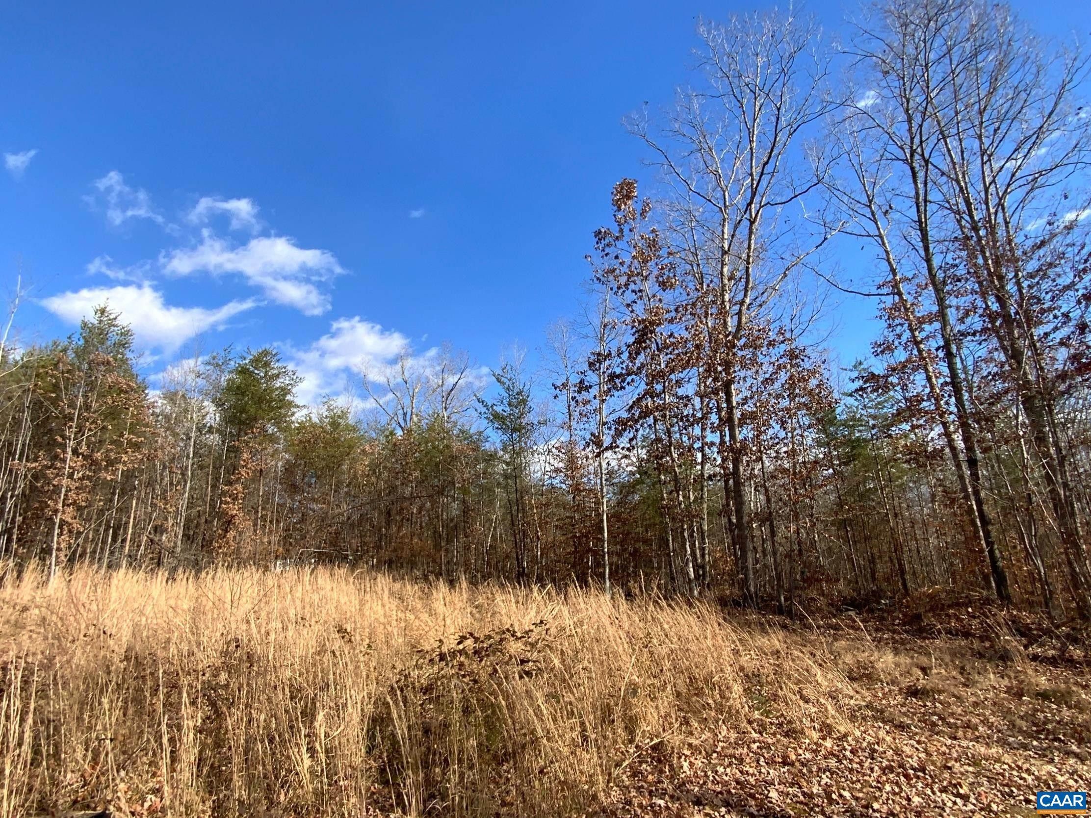 Shipman, Nelson County, VA Undeveloped Land for sale Property ID