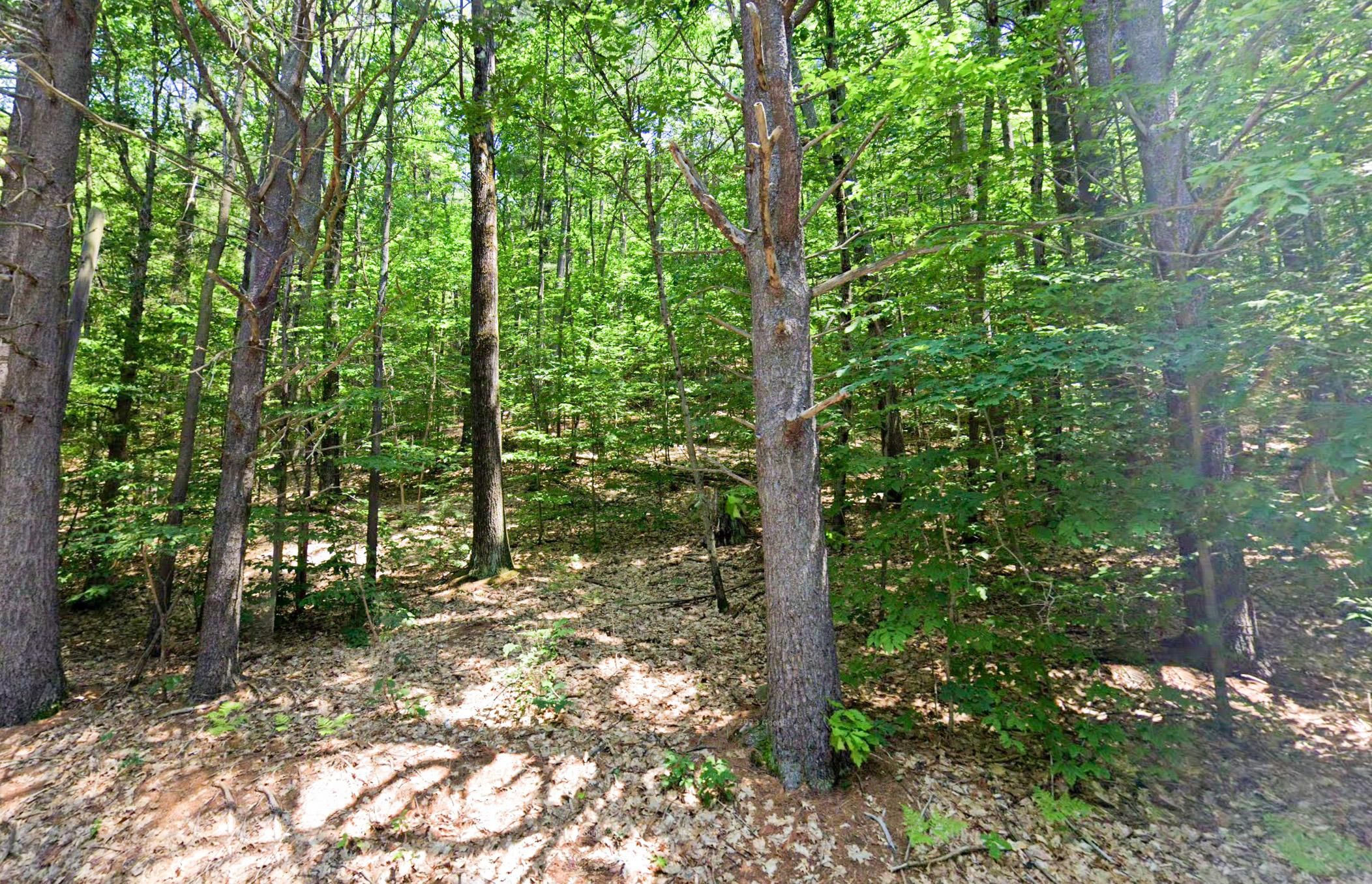Jaffrey, Cheshire County, NH Undeveloped Land, Hunting Property for