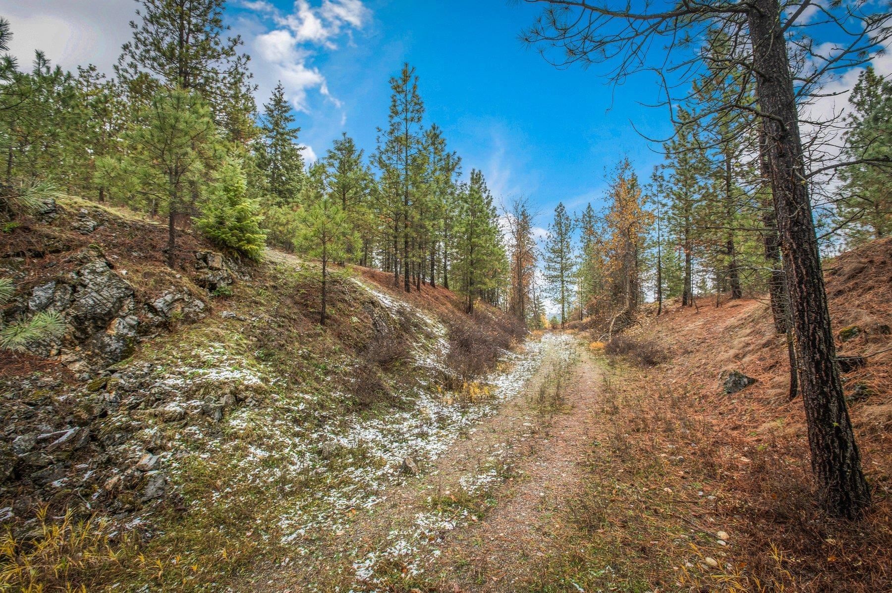 Springdale, Stevens County, WA Undeveloped Land for sale Property ID