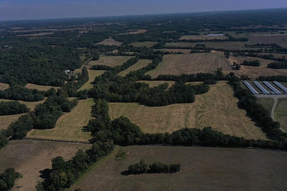 Wingo, Hickman County, KY Farms and Ranches for auction Property ID