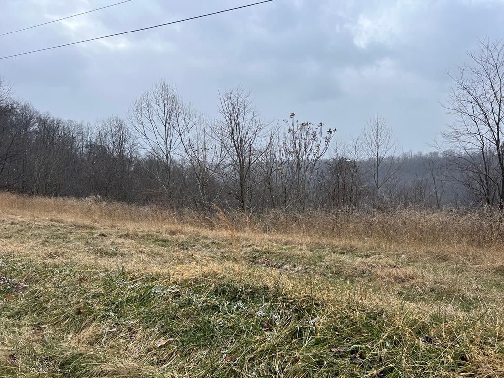 New Martinsville, Wetzel County, WV Undeveloped Land for sale Property