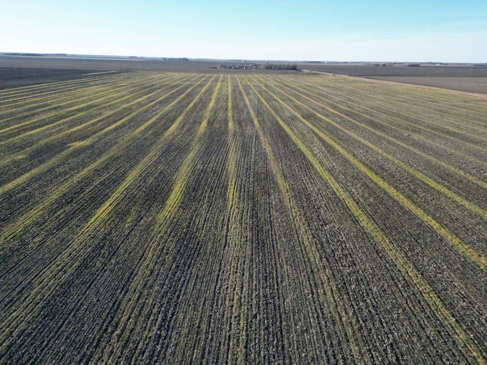 Ada, Norman County, MN Farms and Ranches for auction Property ID 418370065 LandWatch