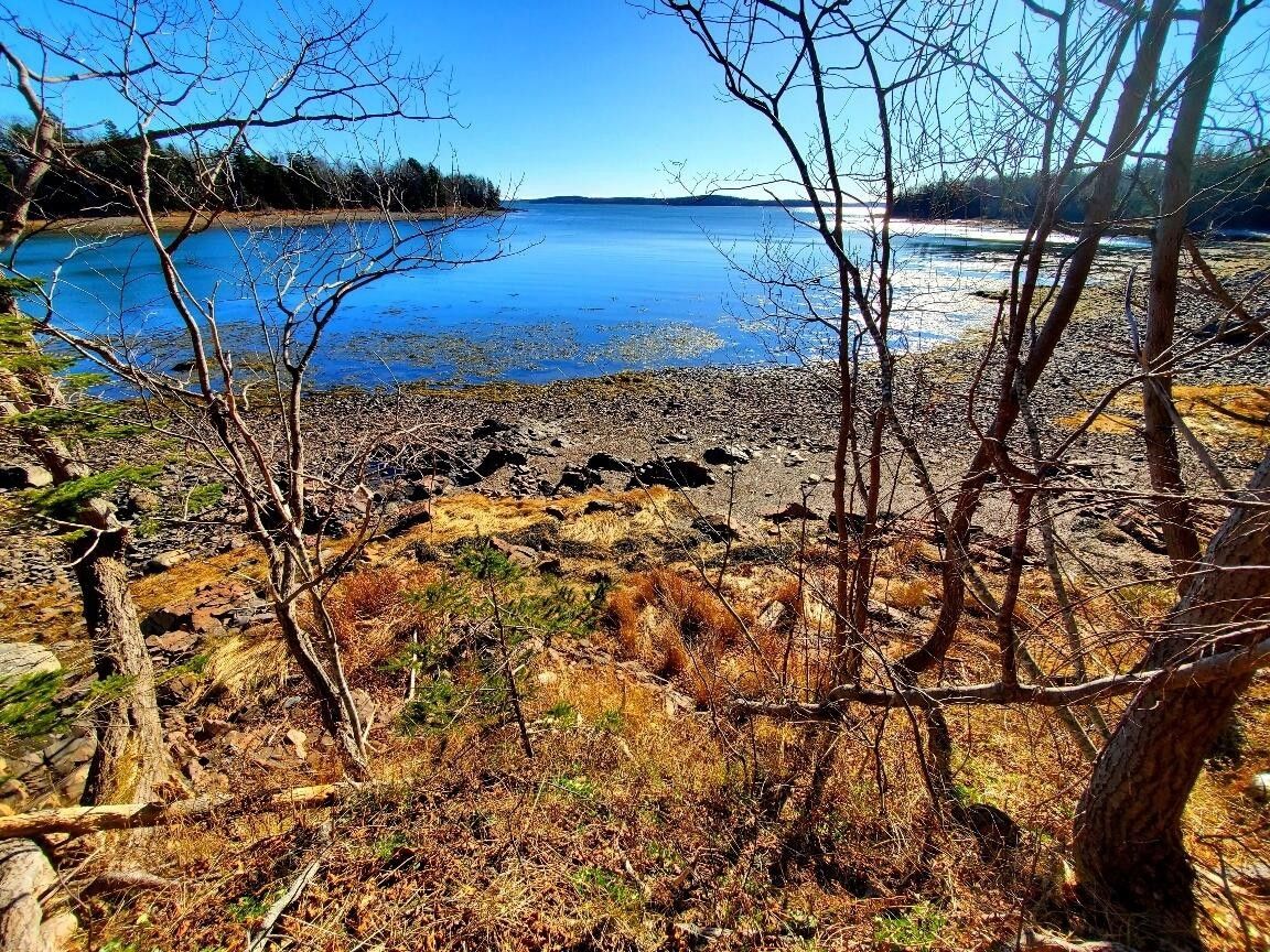 Perry, Washington County, ME Undeveloped Land, Lakefront Property