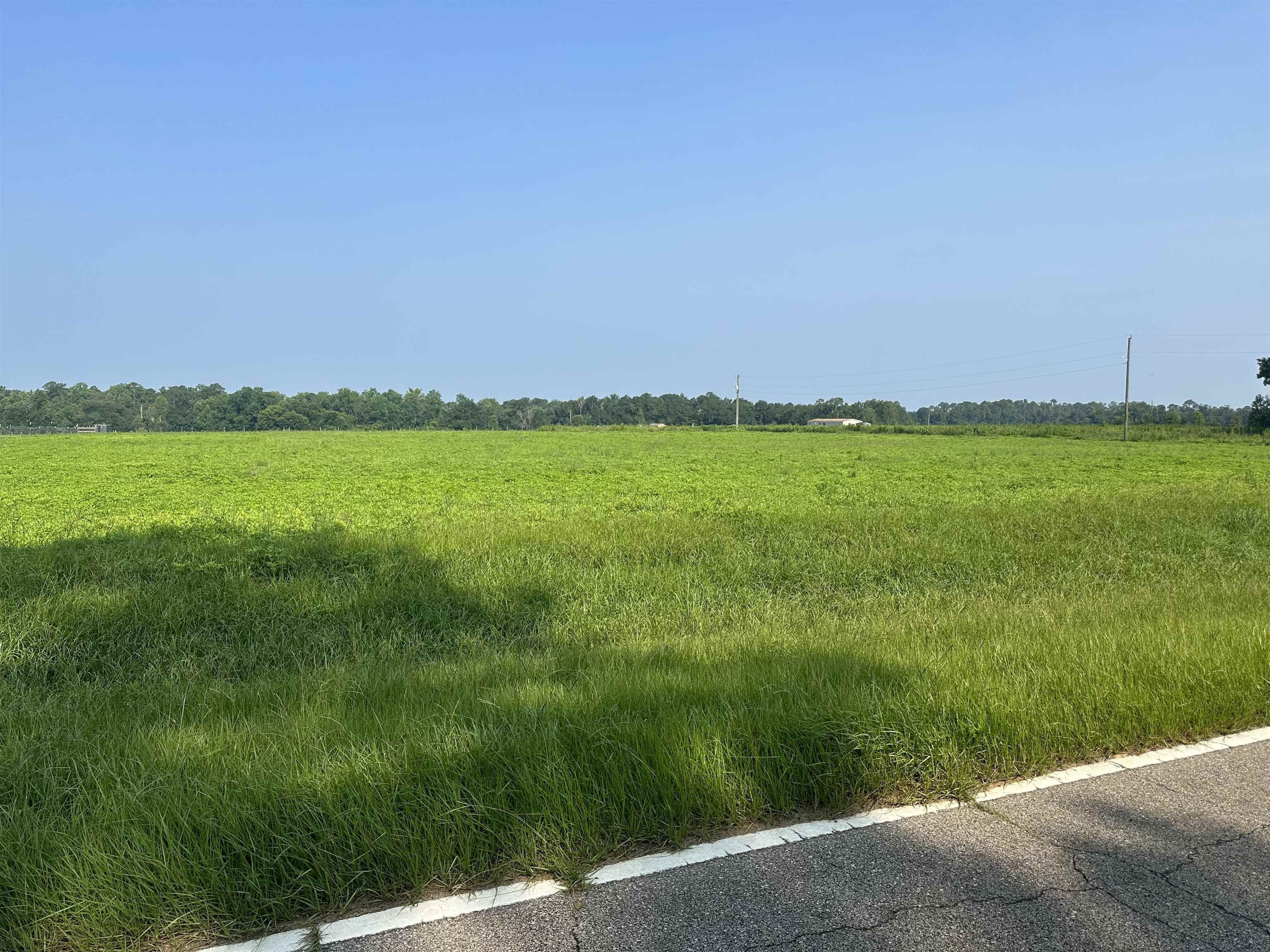 Gretna, Gadsden County, FL Undeveloped Land, Homesites for sale
