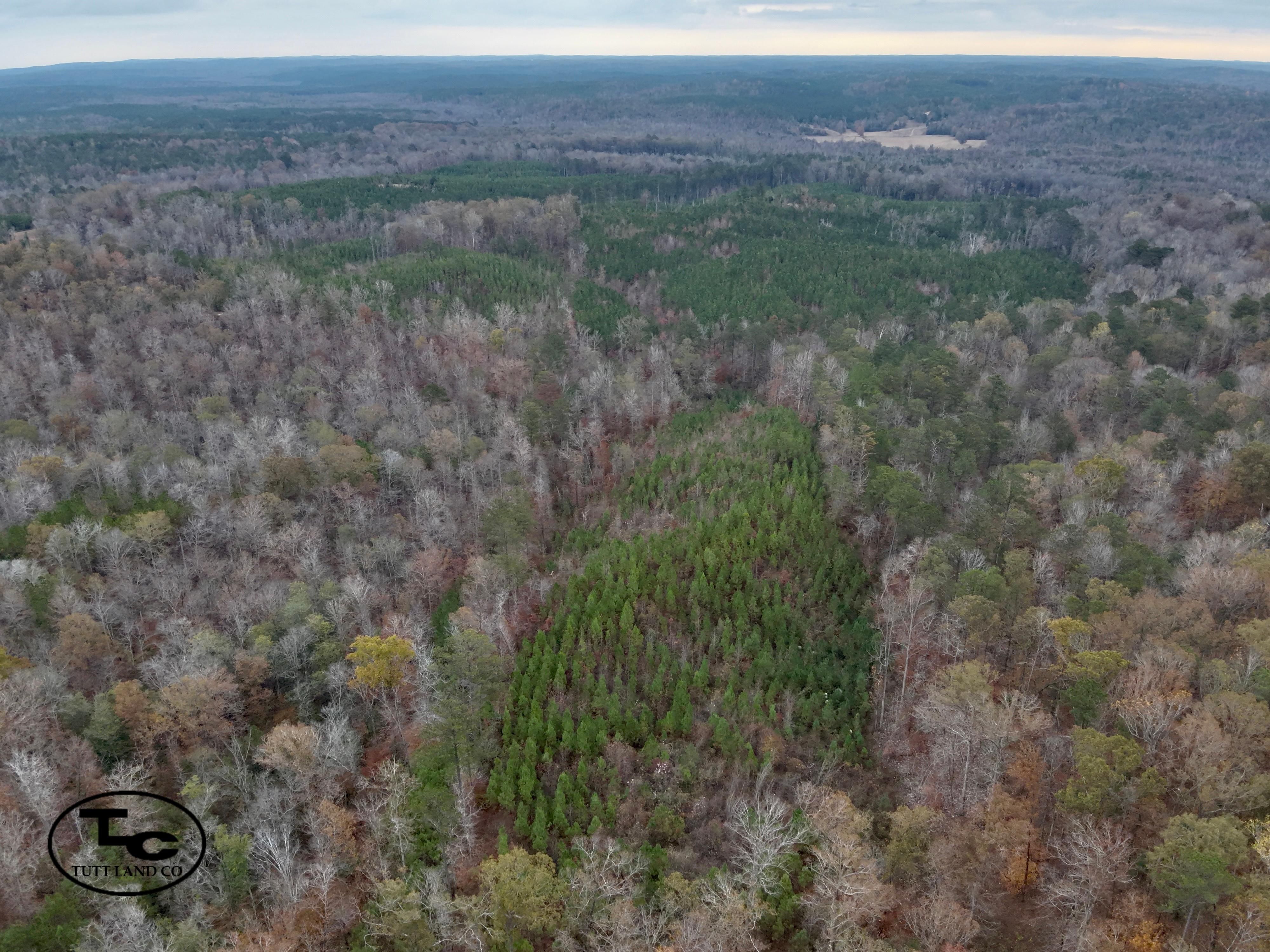 Moundville, Hale County, AL Recreational Property, Timberland Property
