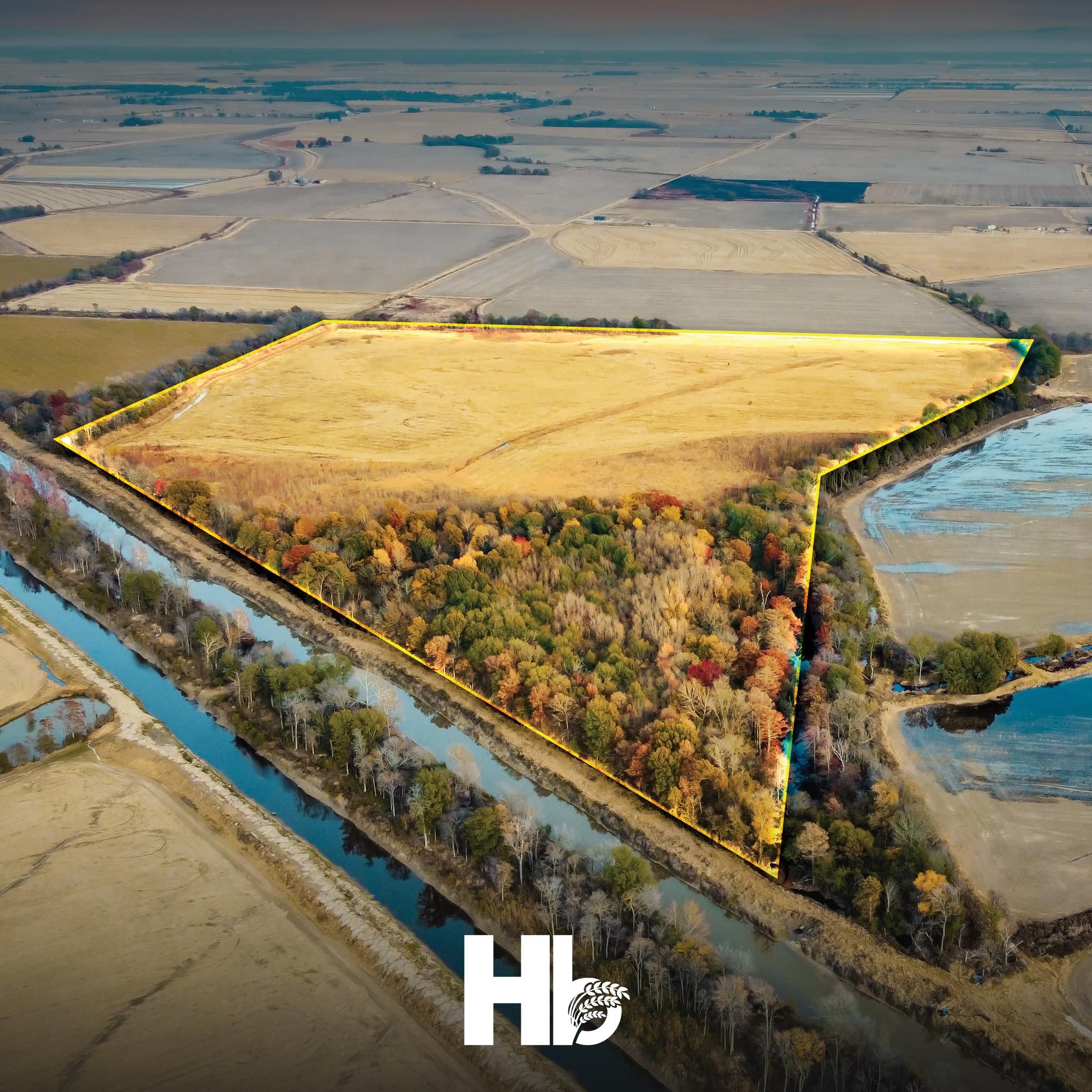 100 acres in Cash, AR, 72421 LandWatch