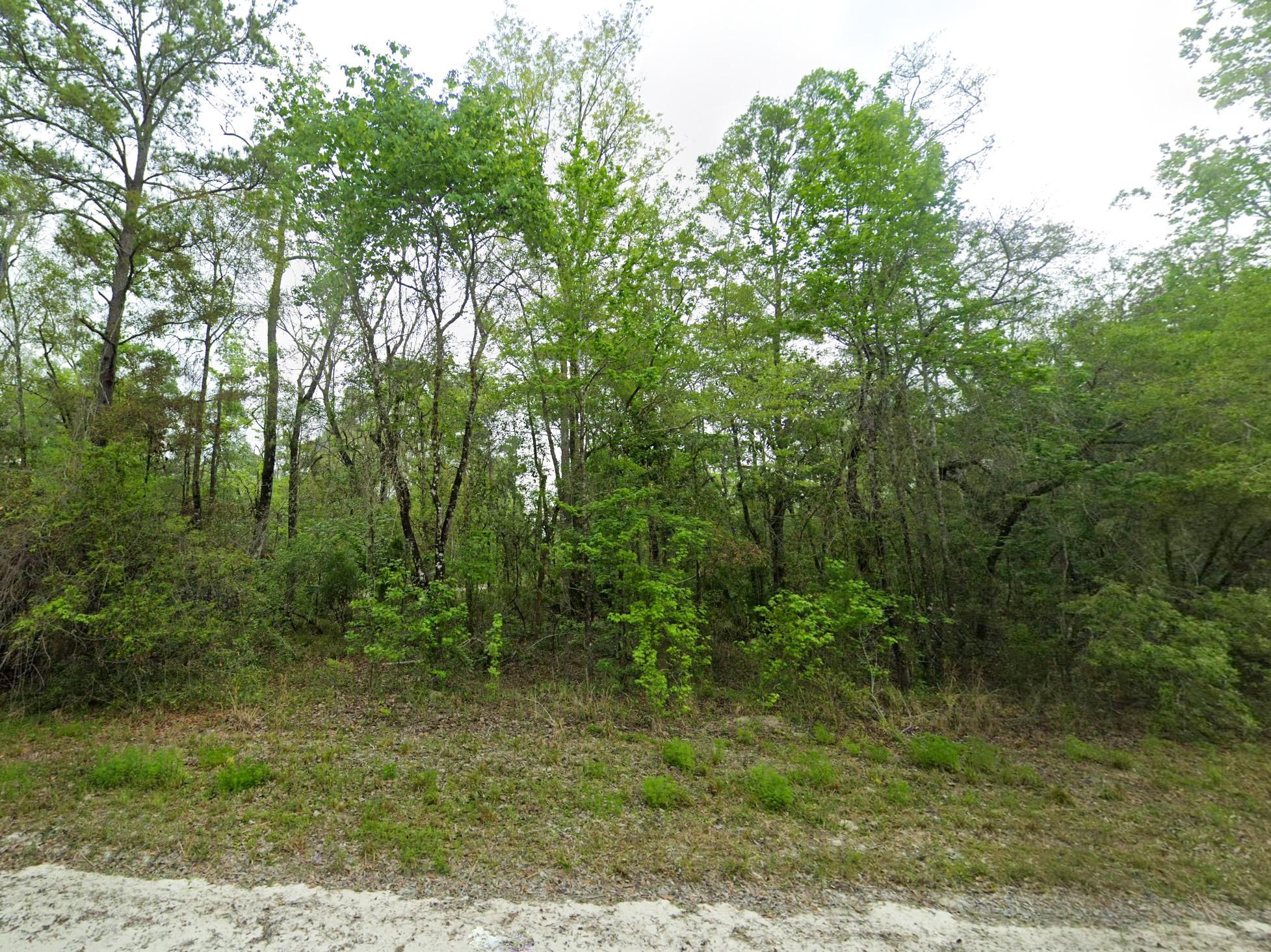 Old Town, Dixie County, FL Recreational Property, Undeveloped Land