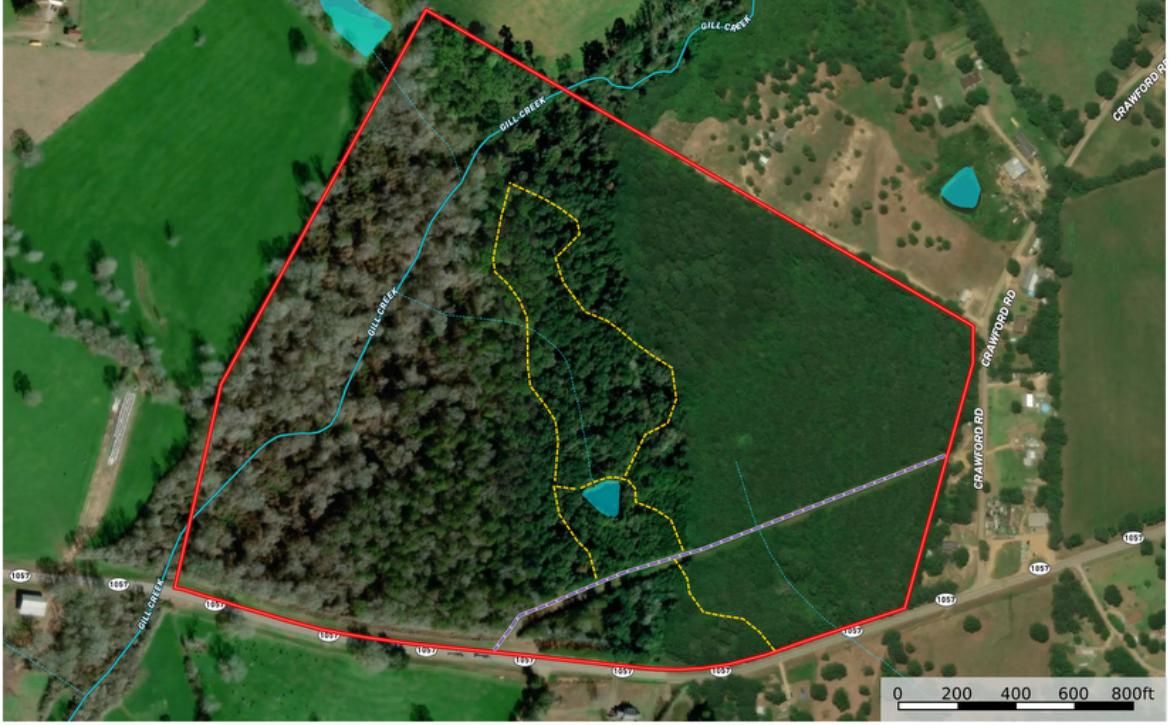 Louisiana 1057, Kentwood, LA 70444 MLS 2422064 LandWatch