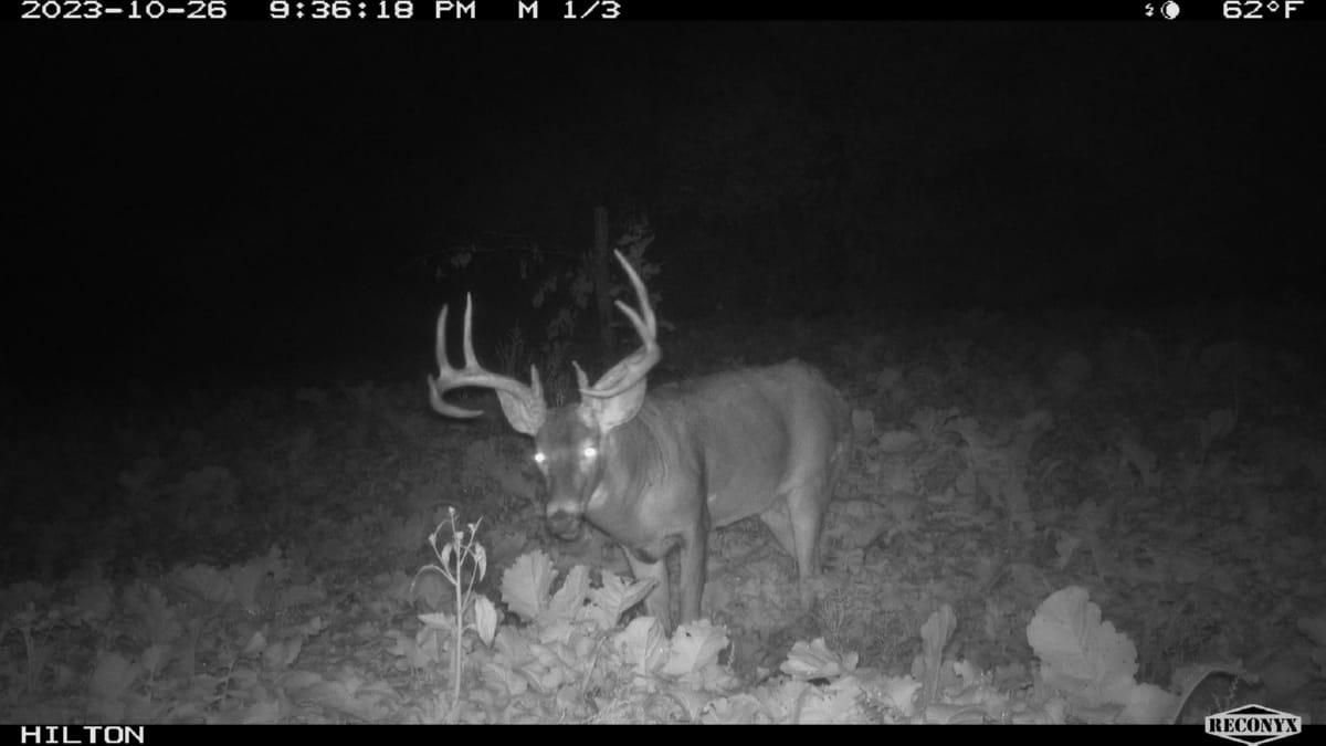 Wheat Hollow Road, Cazenovia, WI 53924 MLS 1967904 LandWatch