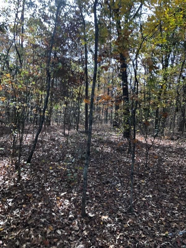 Thomaston, Upson County, GA Farms and Ranches, Commercial Property for