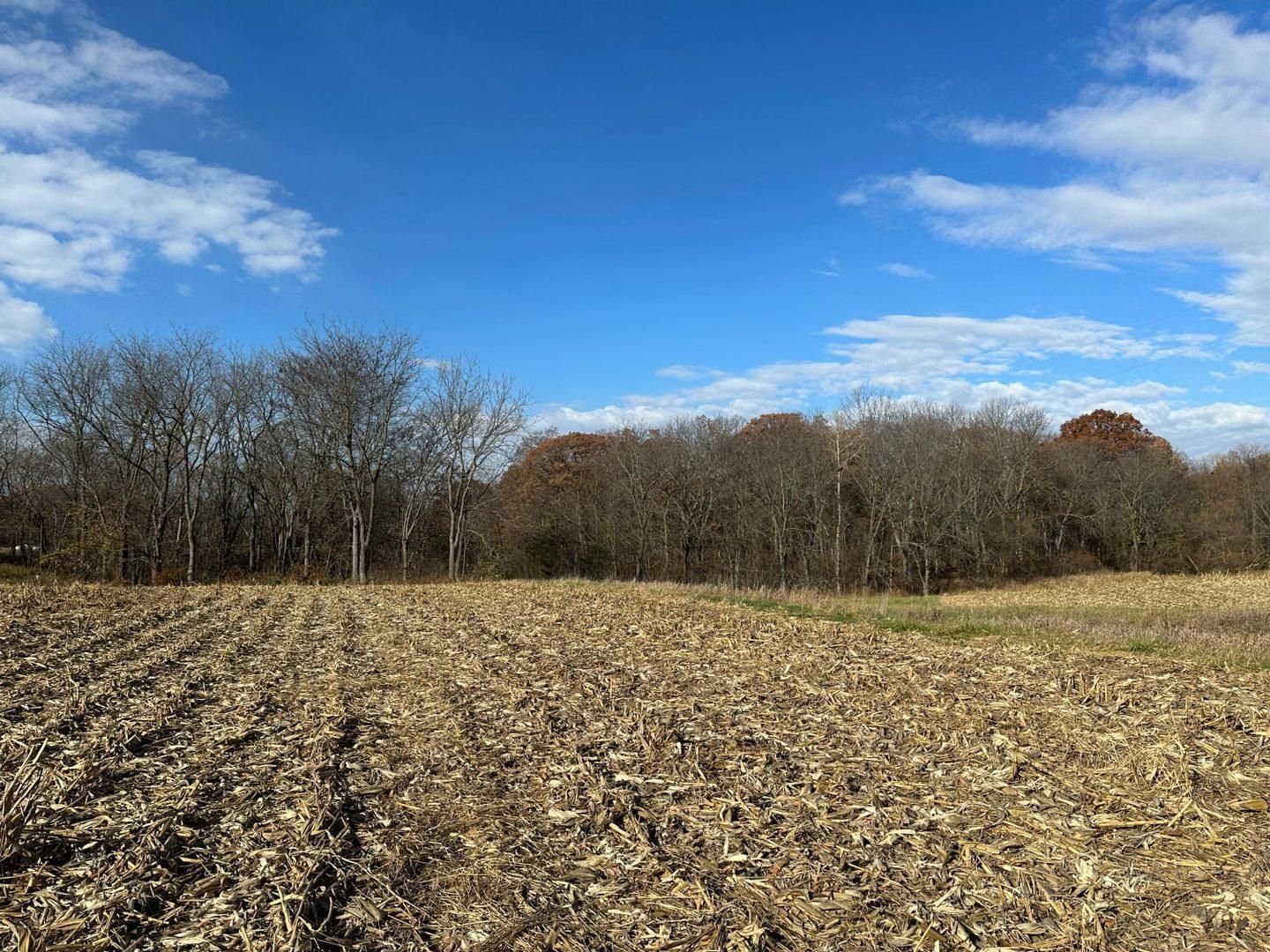 Grandview, Louisa County, IA Farms and Ranches for sale Property ID