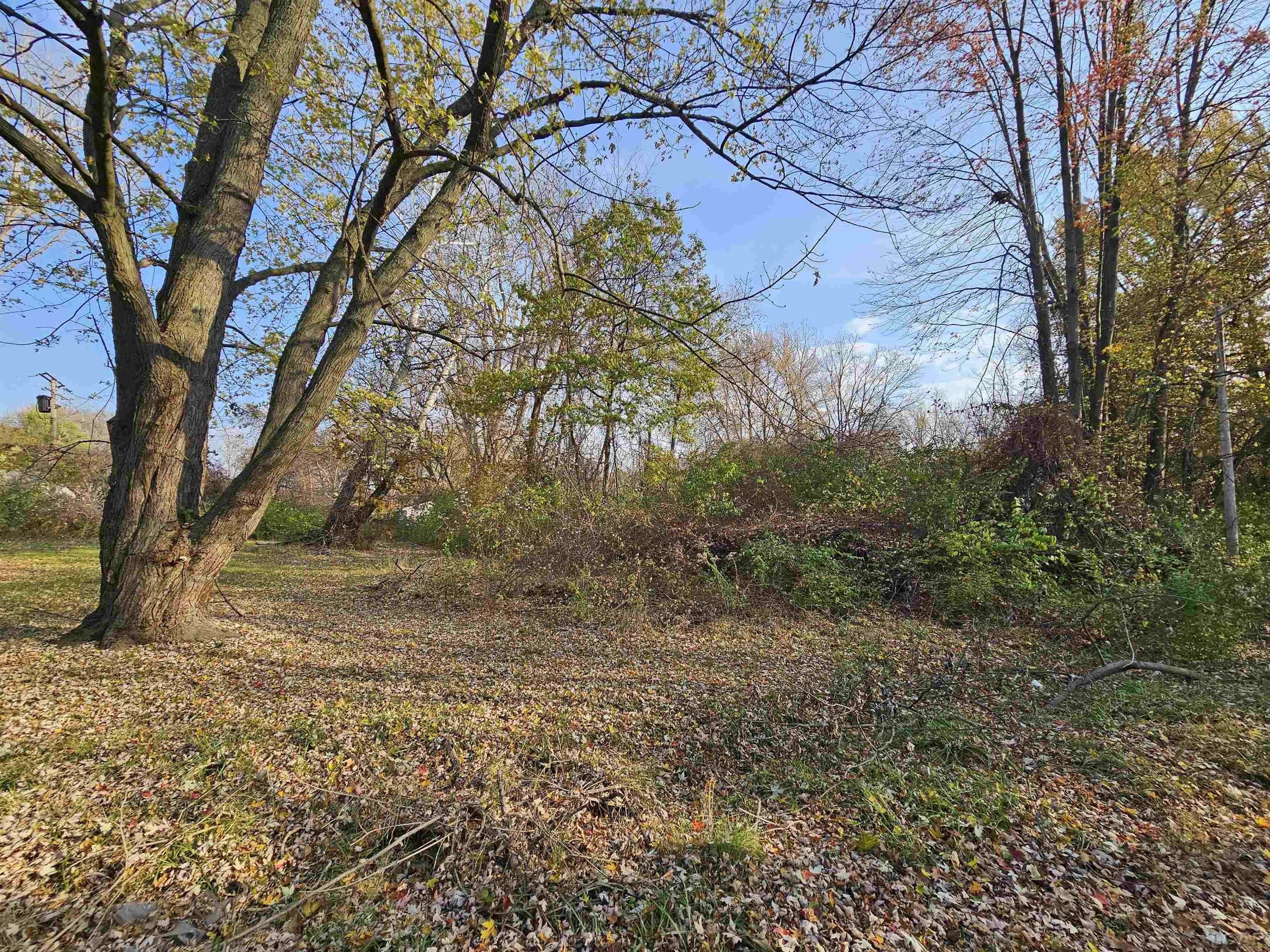 Romulus, Wayne County, MI Undeveloped Land, Homesites for sale Property ID 418374496 LandWatch