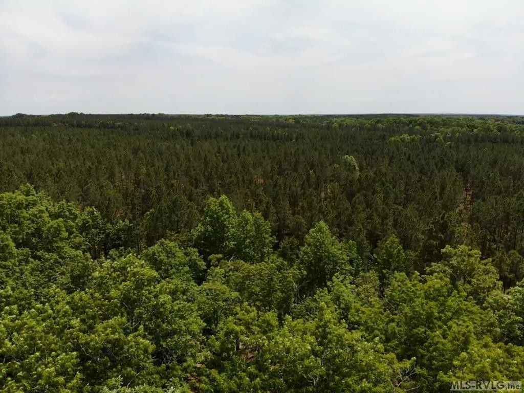 La Crosse, Brunswick County, VA Undeveloped Land for sale Property ID