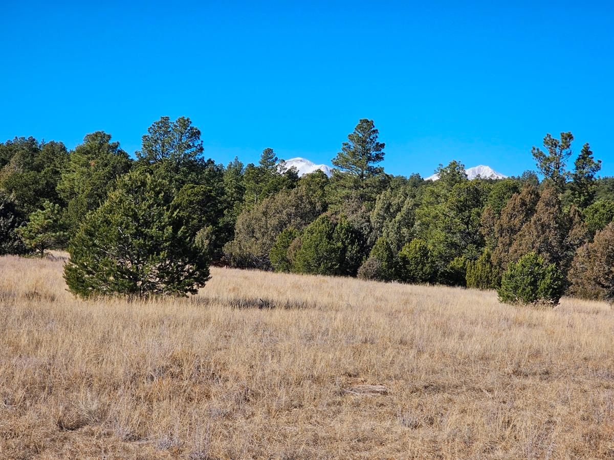 Trinidad, Las Animas County, CO Recreational Property for sale Property