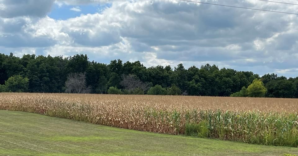 Independence, Buchanan County, IA Farms and Ranches for sale Property