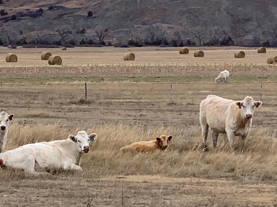 1,421.32 acres in Winner, SD, 57534 LandWatch