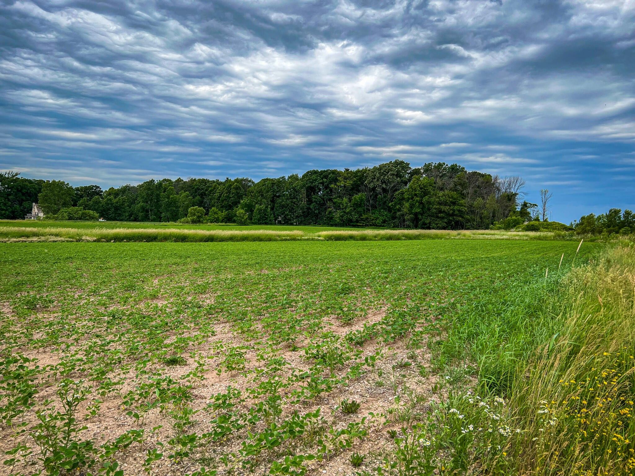 Howards Grove, Sheboygan County, WI Farms and Ranches for sale Property