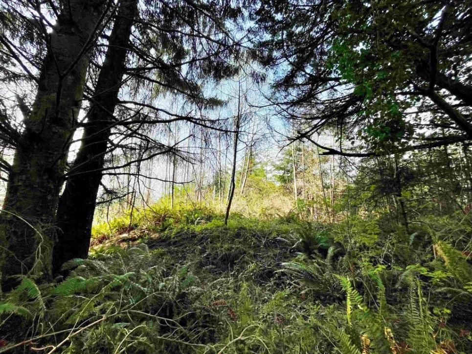 Smith River, Del Norte County, CA Recreational Property, Undeveloped