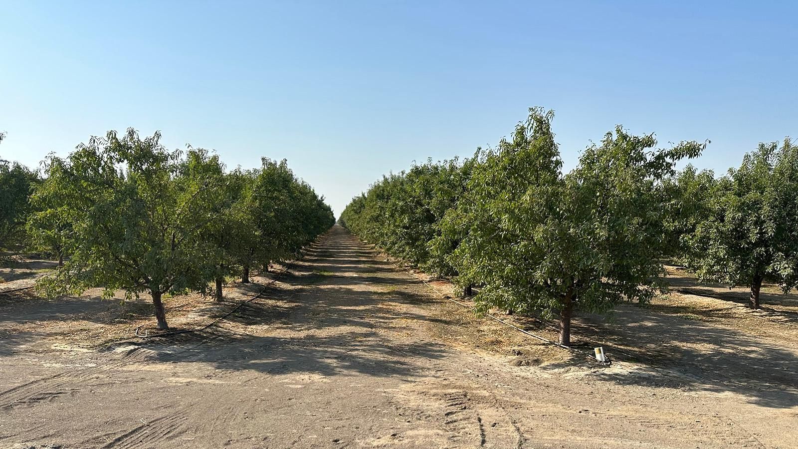 SE. of Caruthers and SW of Raisin City, Riverdale, CA 93656 LandWatch