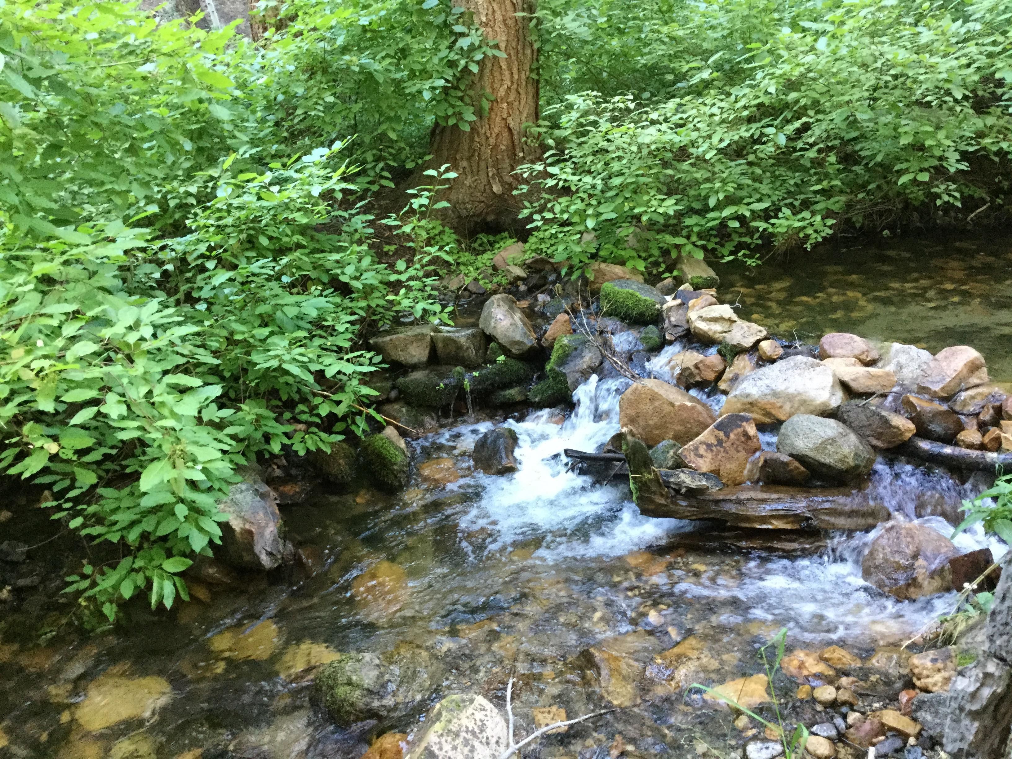 Coleville, Mono County, CA Recreational Property, Undeveloped Land for