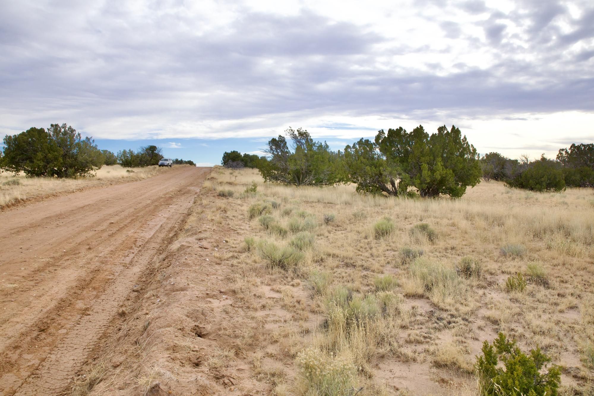 Saint Johns, Apache County, AZ Recreational Property, Undeveloped Land