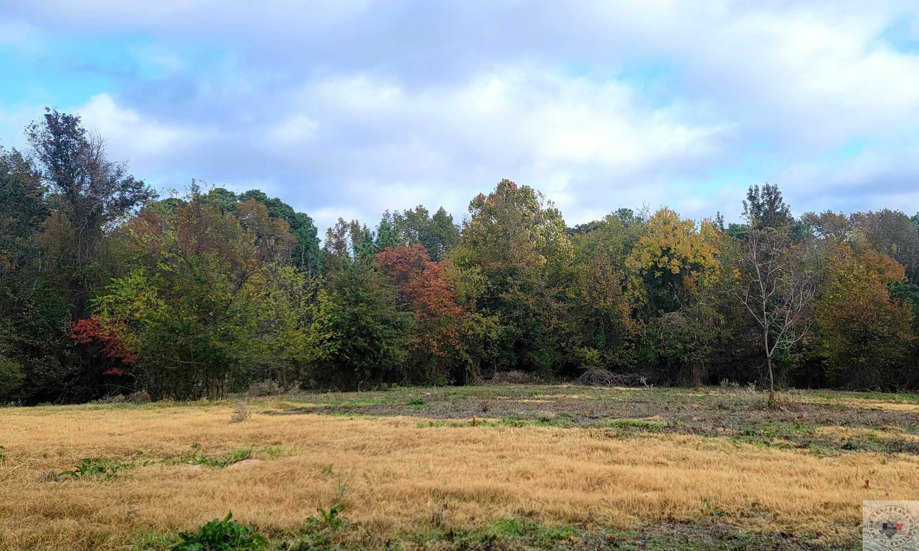 Annona, Red River County, TX House for sale Property ID 418383945