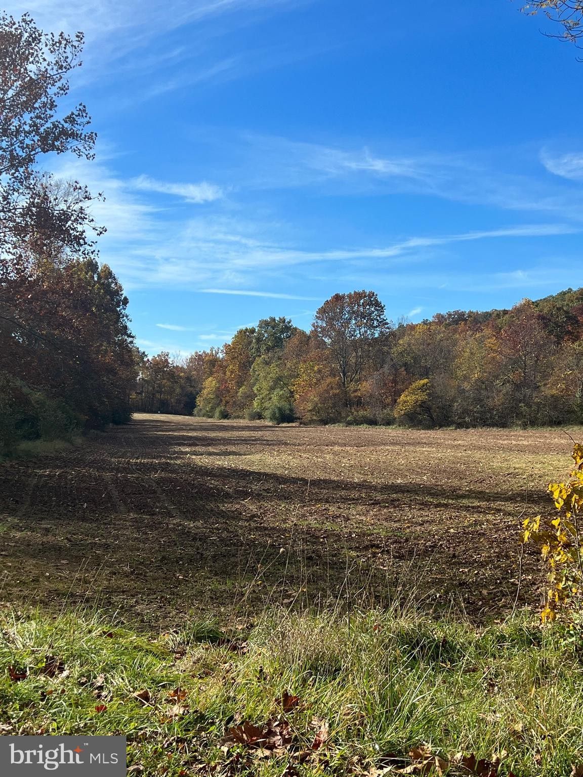 berkeley-springs-morgan-county-wv-undeveloped-land-for-sale-property