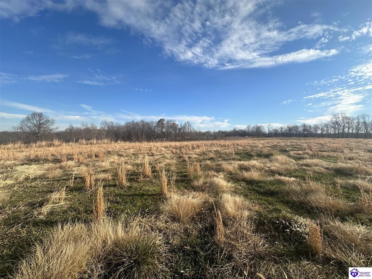 Payneville, Meade County, KY for sale Property ID 418384305 LandWatch