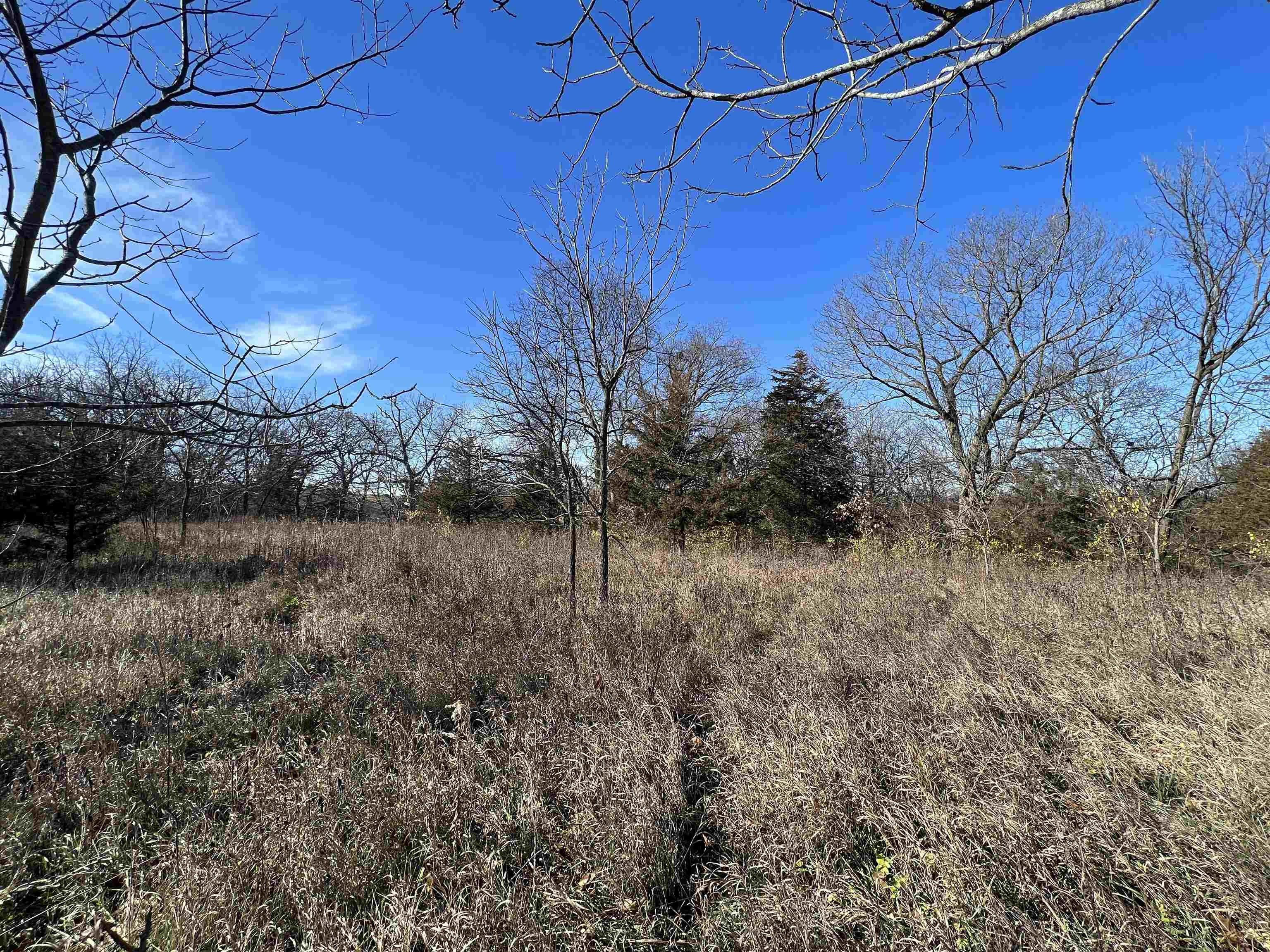 Galena, Jo Daviess County, IL Undeveloped Land, Homesites for sale