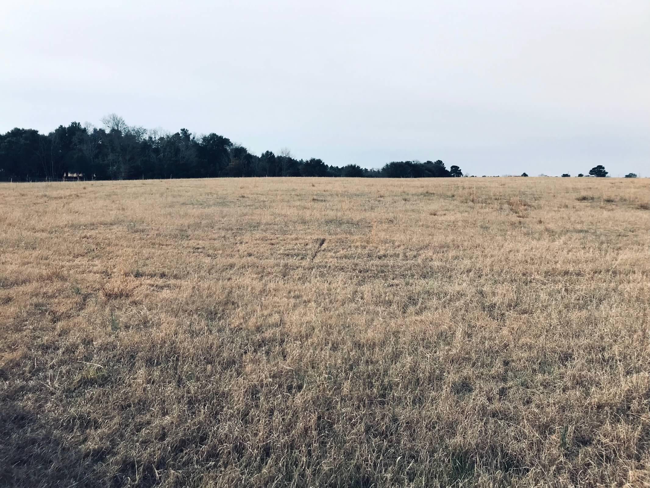 Aiken, Aiken County, SC Farms and Ranches for sale Property ID 418385573 LandWatch