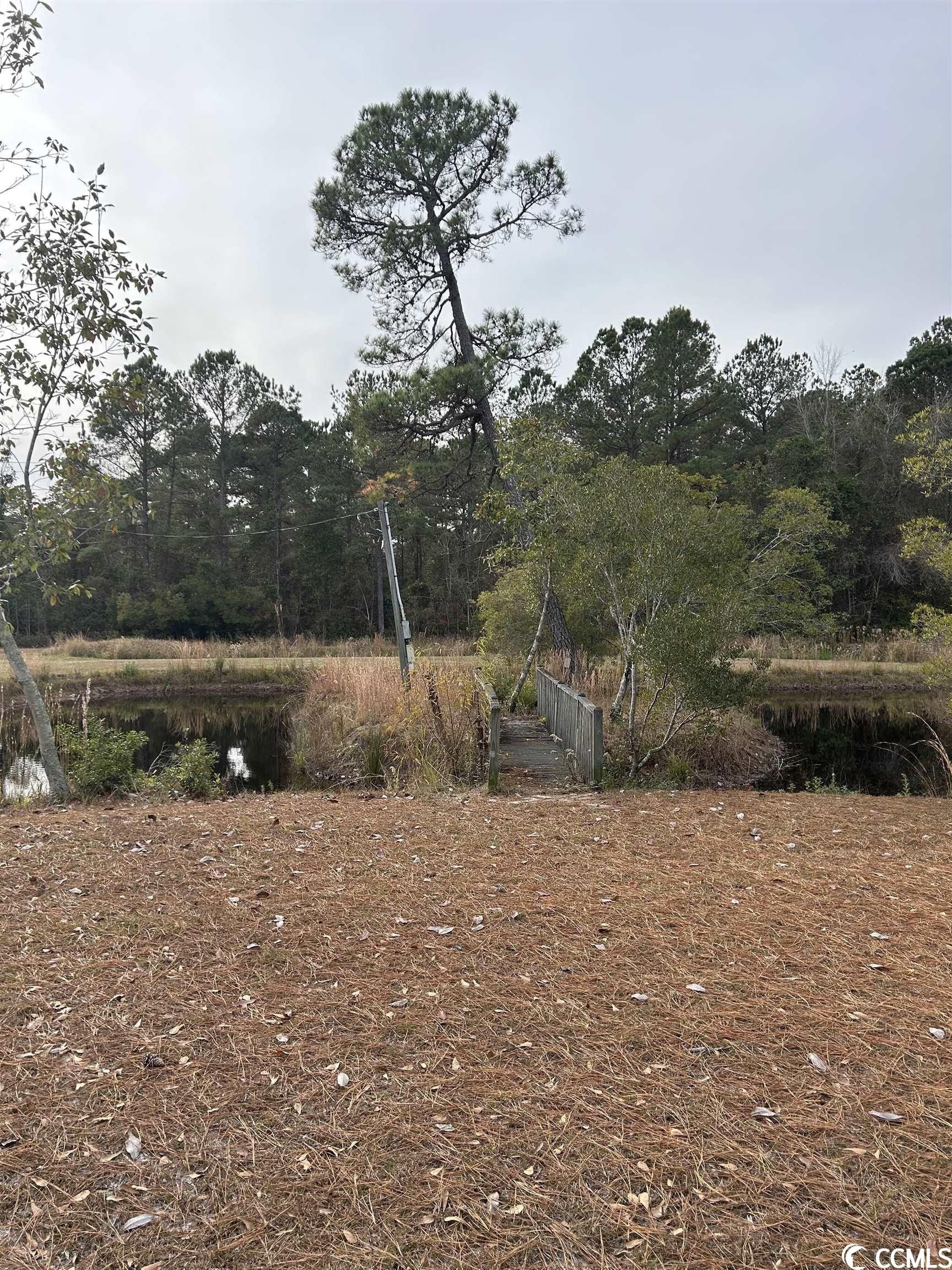 Marion, Marion County, SC Homesites for sale Property ID 418386402