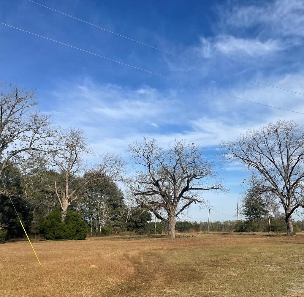 Glennville, Tattnall County, GA Undeveloped Land, Homesites for sale