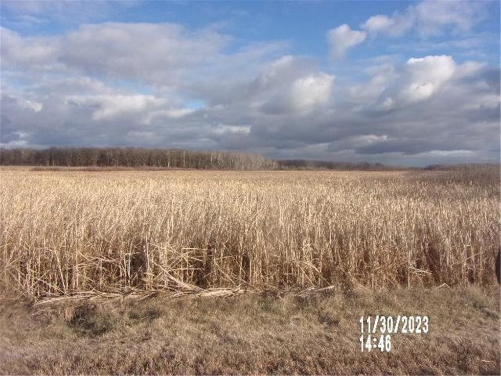Browerville, Todd County, MN Undeveloped Land for sale Property ID 418386994 LandWatch