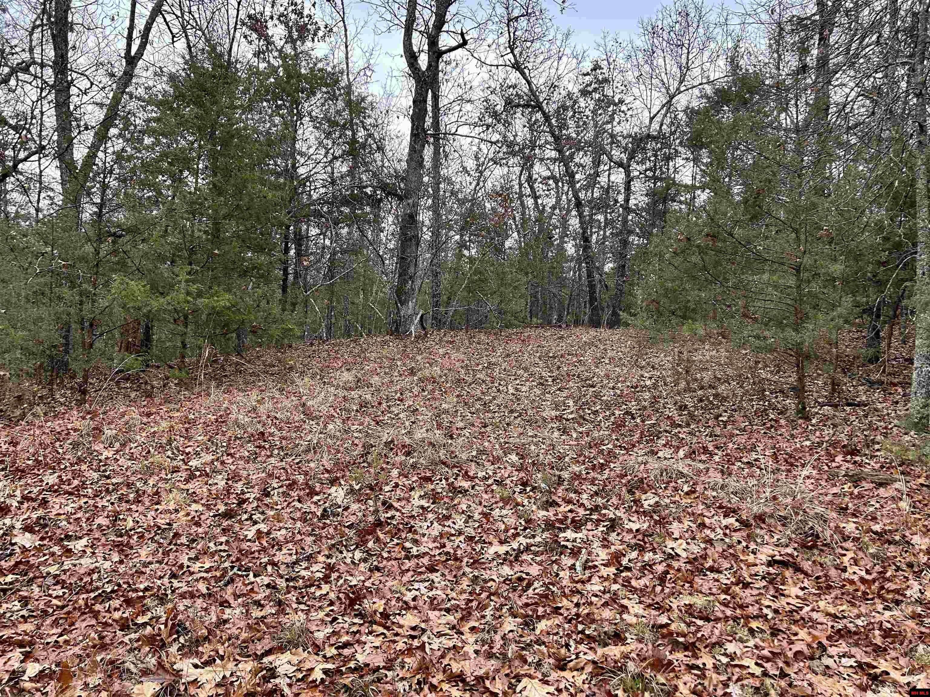 Mountain Home, Baxter County, AR Undeveloped Land for sale Property ID