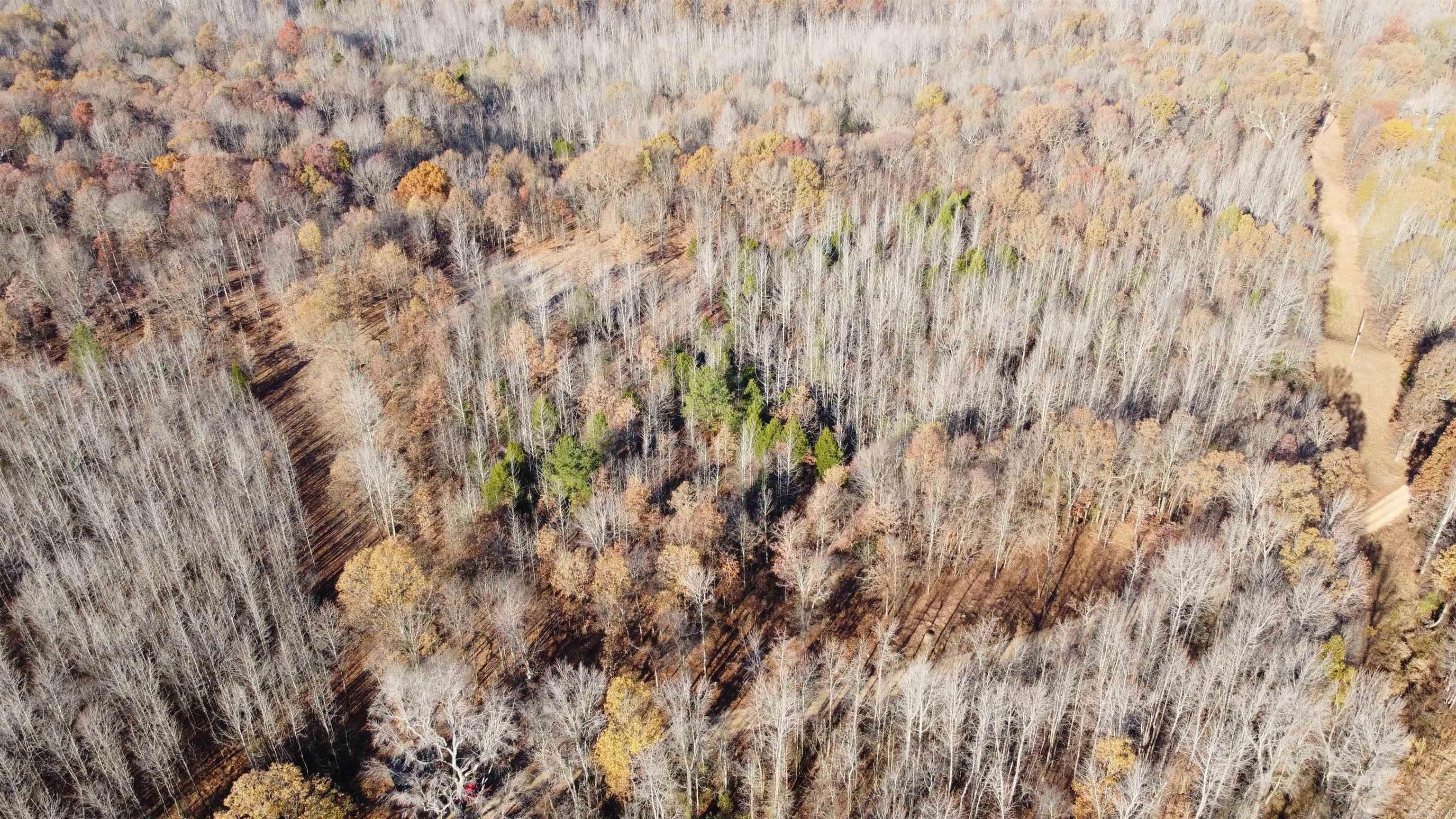 Lafe, Clay County, AR Undeveloped Land for sale Property ID 418387714