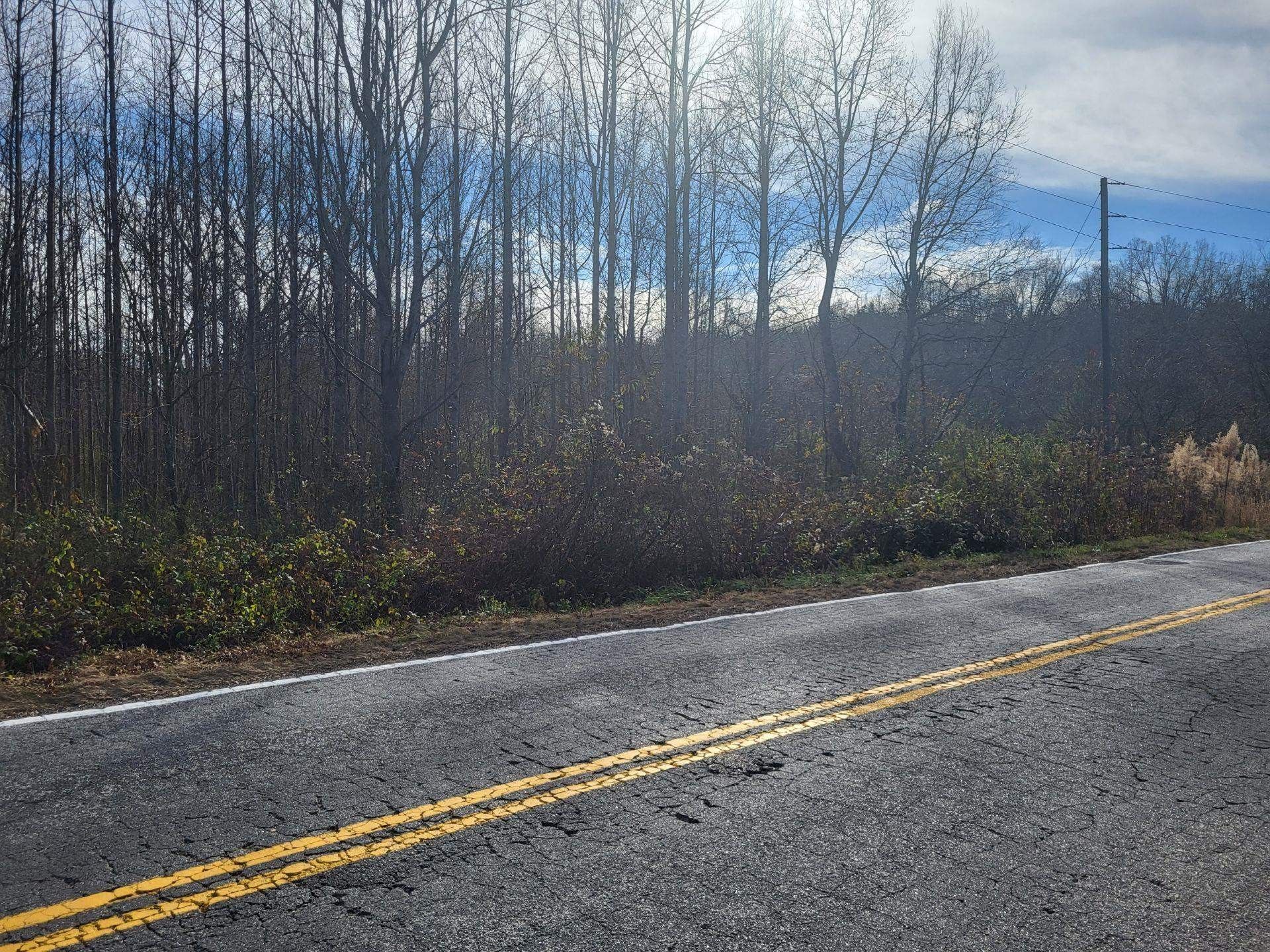 Landrum, Spartanburg County, SC Undeveloped Land, Lakefront Property