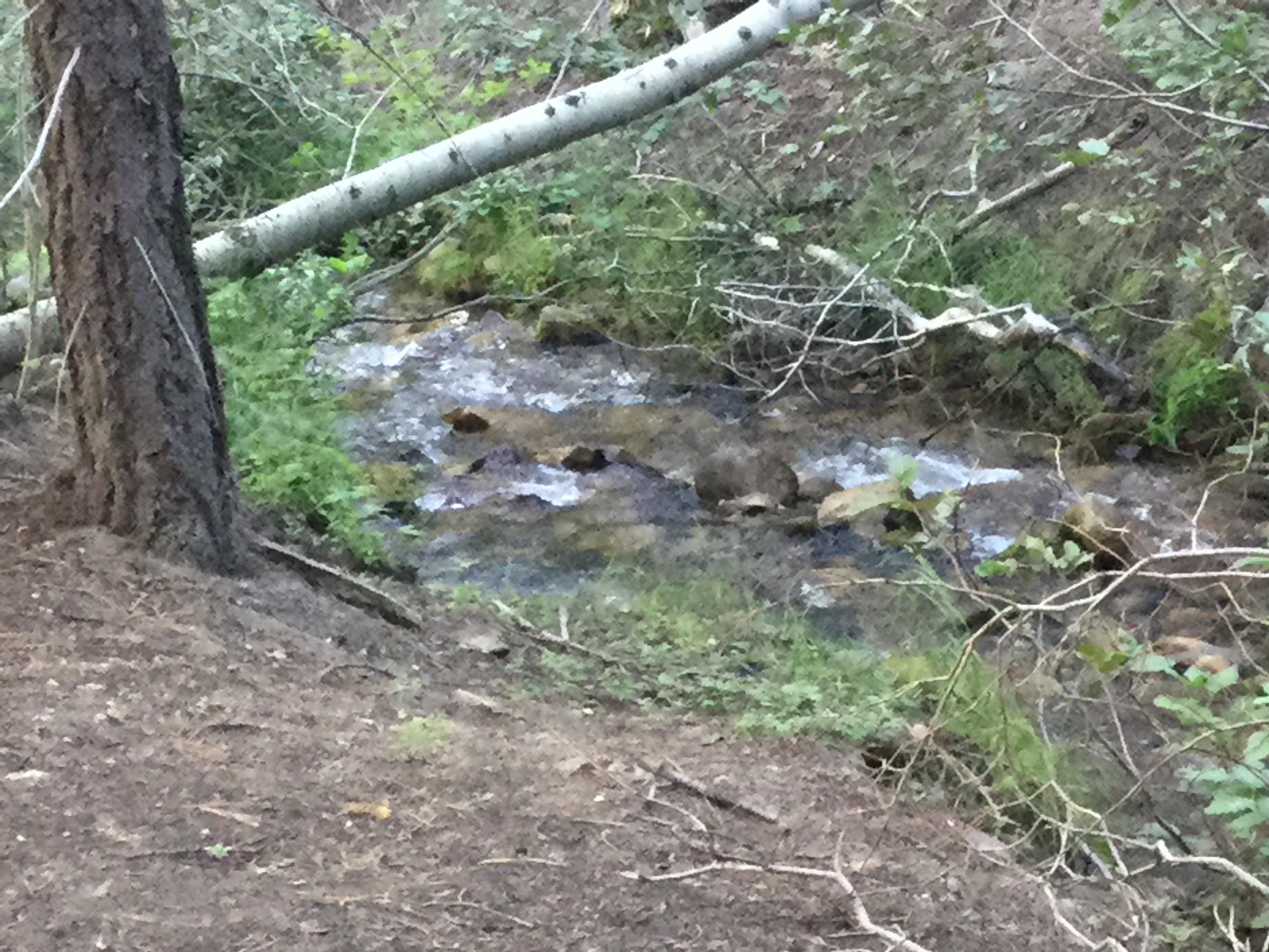 Mill Canyon Road, Coleville, CA 96107 MLS Exclusive LandWatch