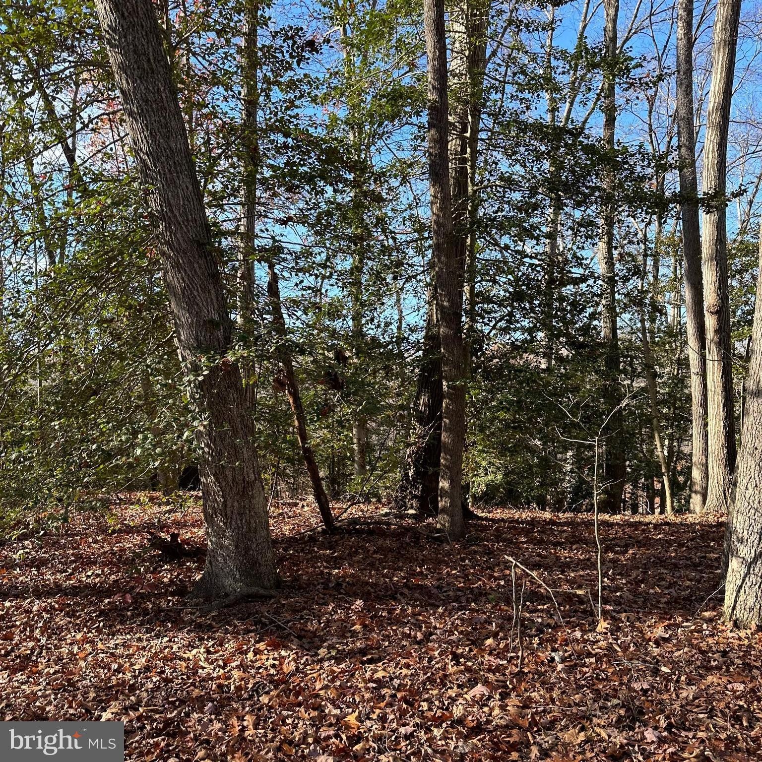 King King County, VA Undeveloped Land for sale Property ID 418324484 LandWatch