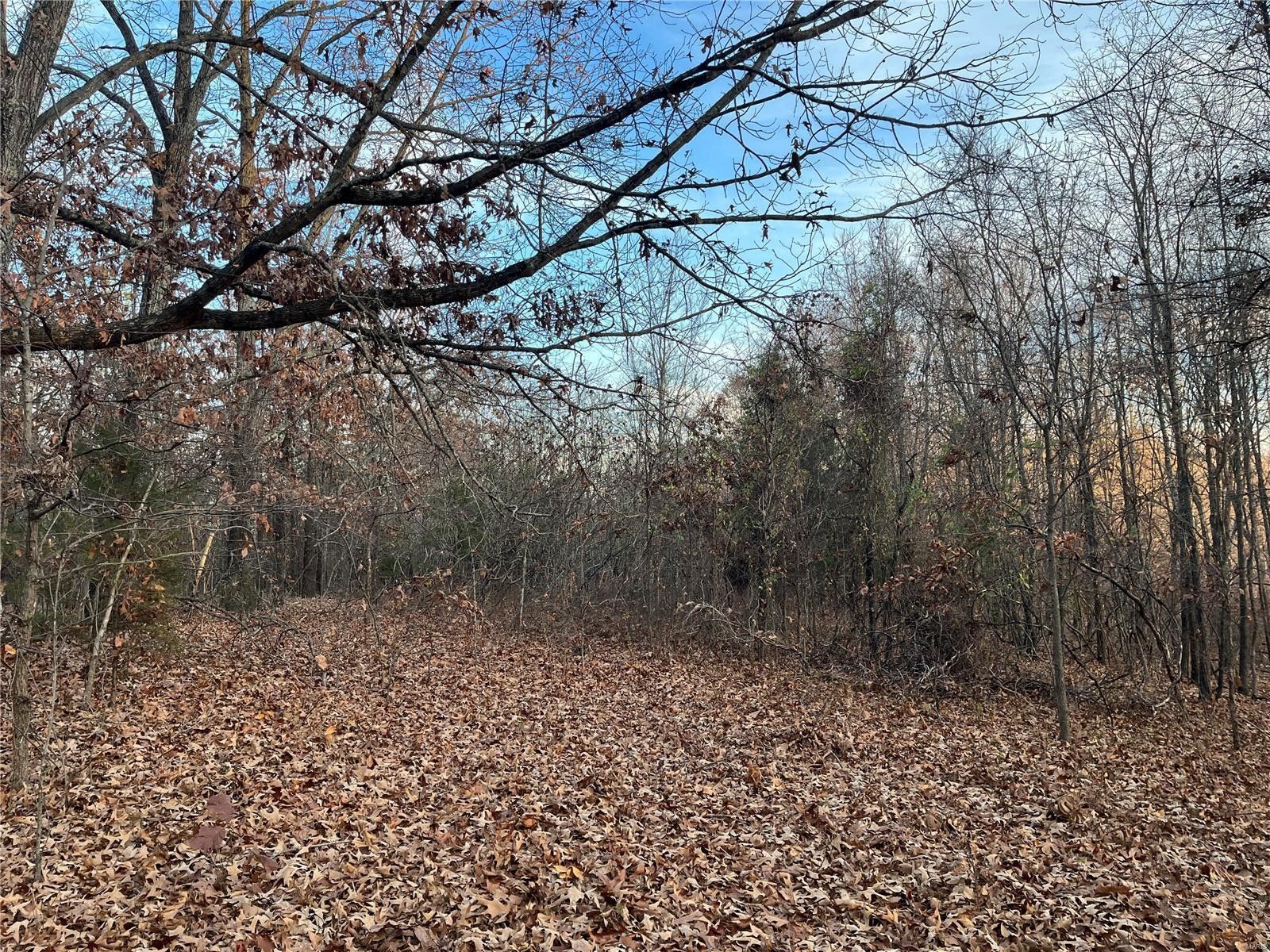 Zalma, Bollinger County, MO Farms and Ranches for sale Property ID