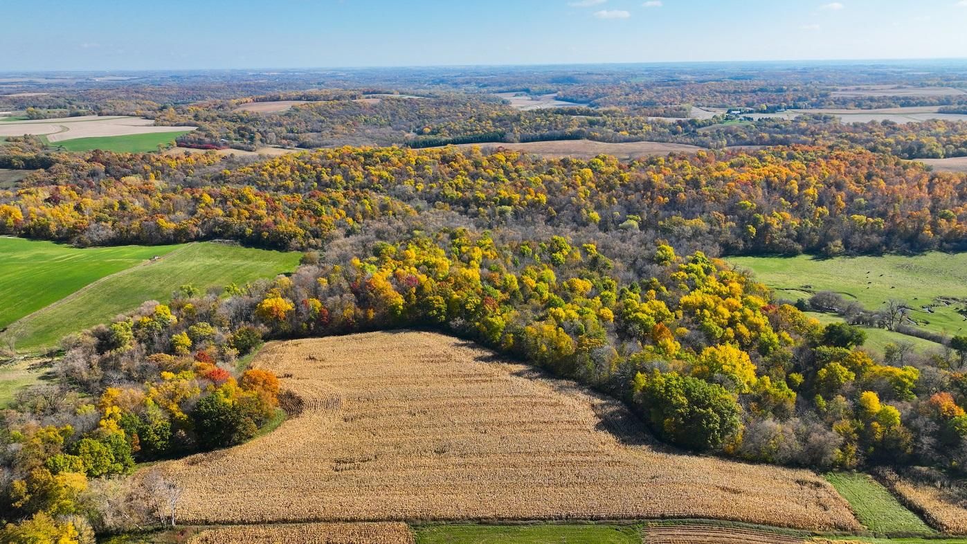 100th Street Northwest, Pine Island, MN 55963 MLS 6465120 LandWatch