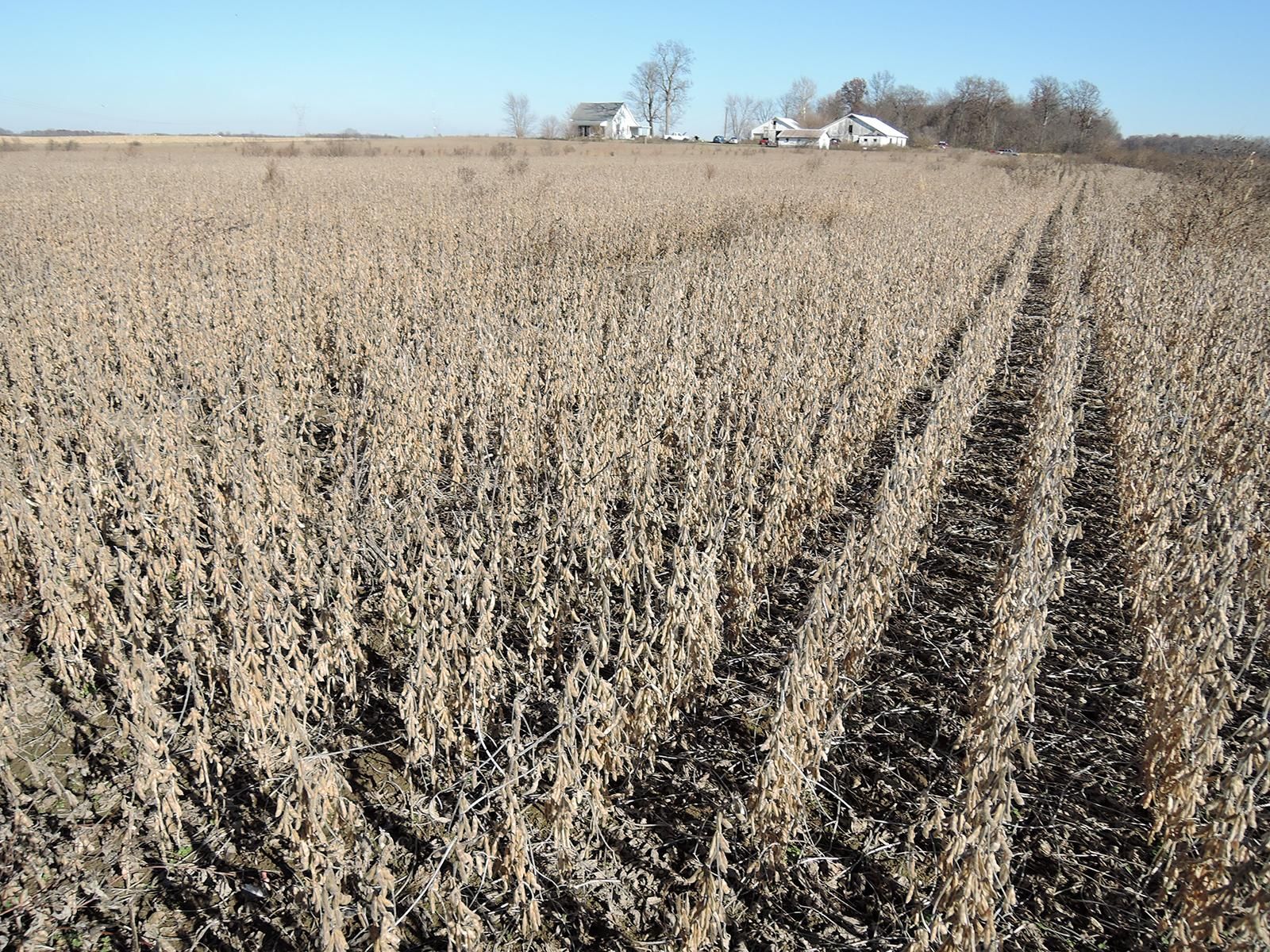 Middletown, Henry County, IN Farms and Ranches, Undeveloped Land for auction Property ID