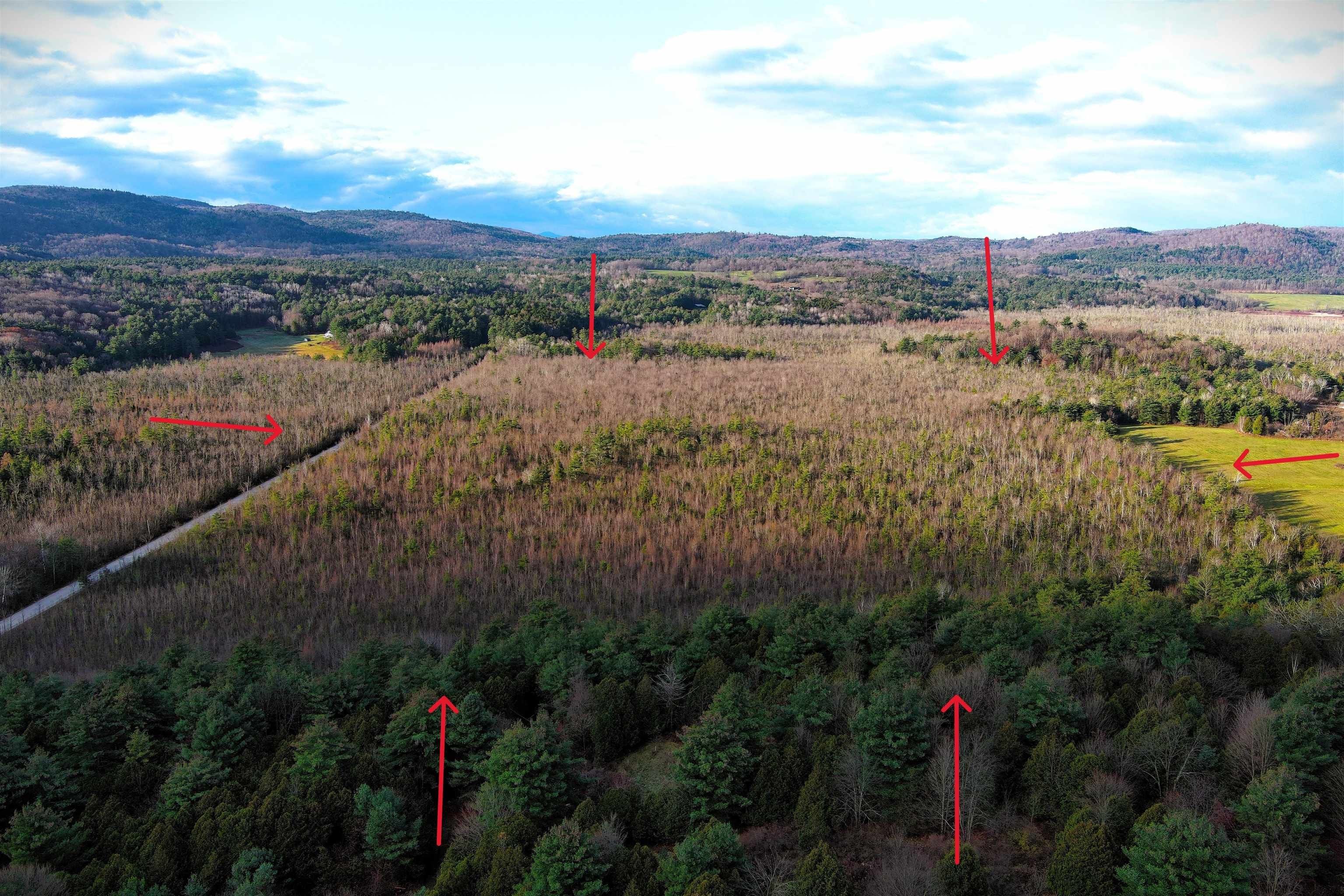 Brandon, Rutland County, VT Undeveloped Land for sale Property ID