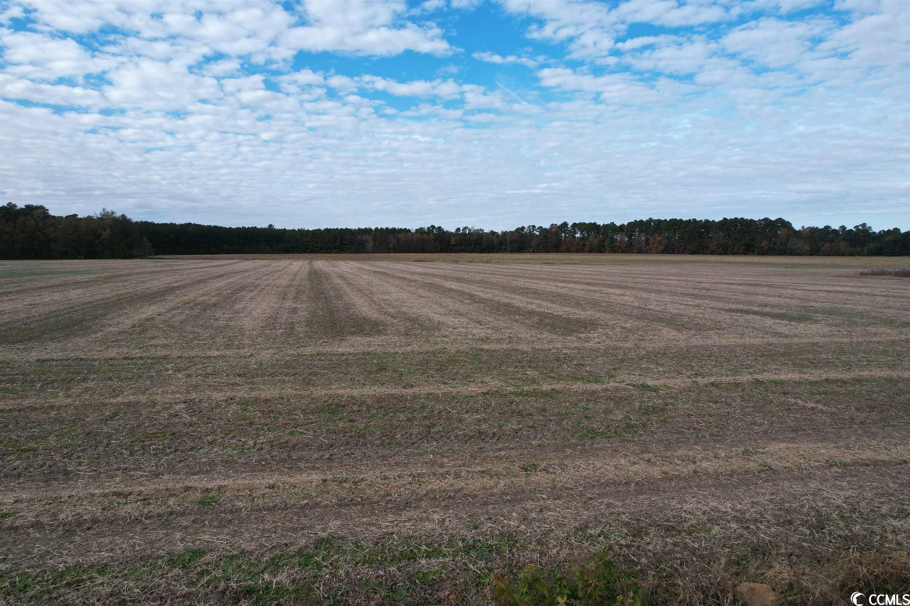 Kingstree, Williamsburg County, SC Undeveloped Land for sale Property