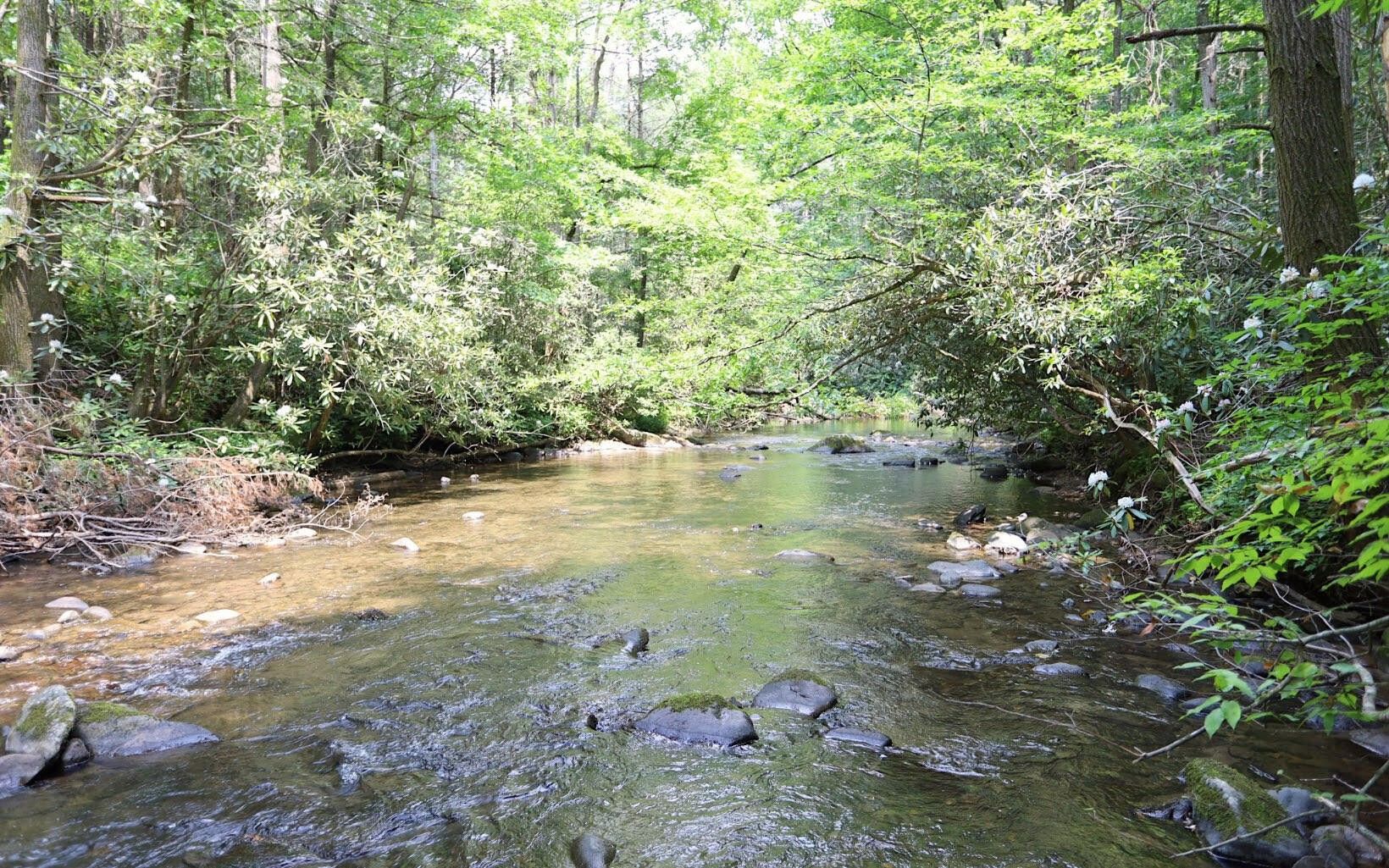 Copperhill, Polk County, TN Undeveloped Land, Lakefront Property, Waterfront Property, Homesites
