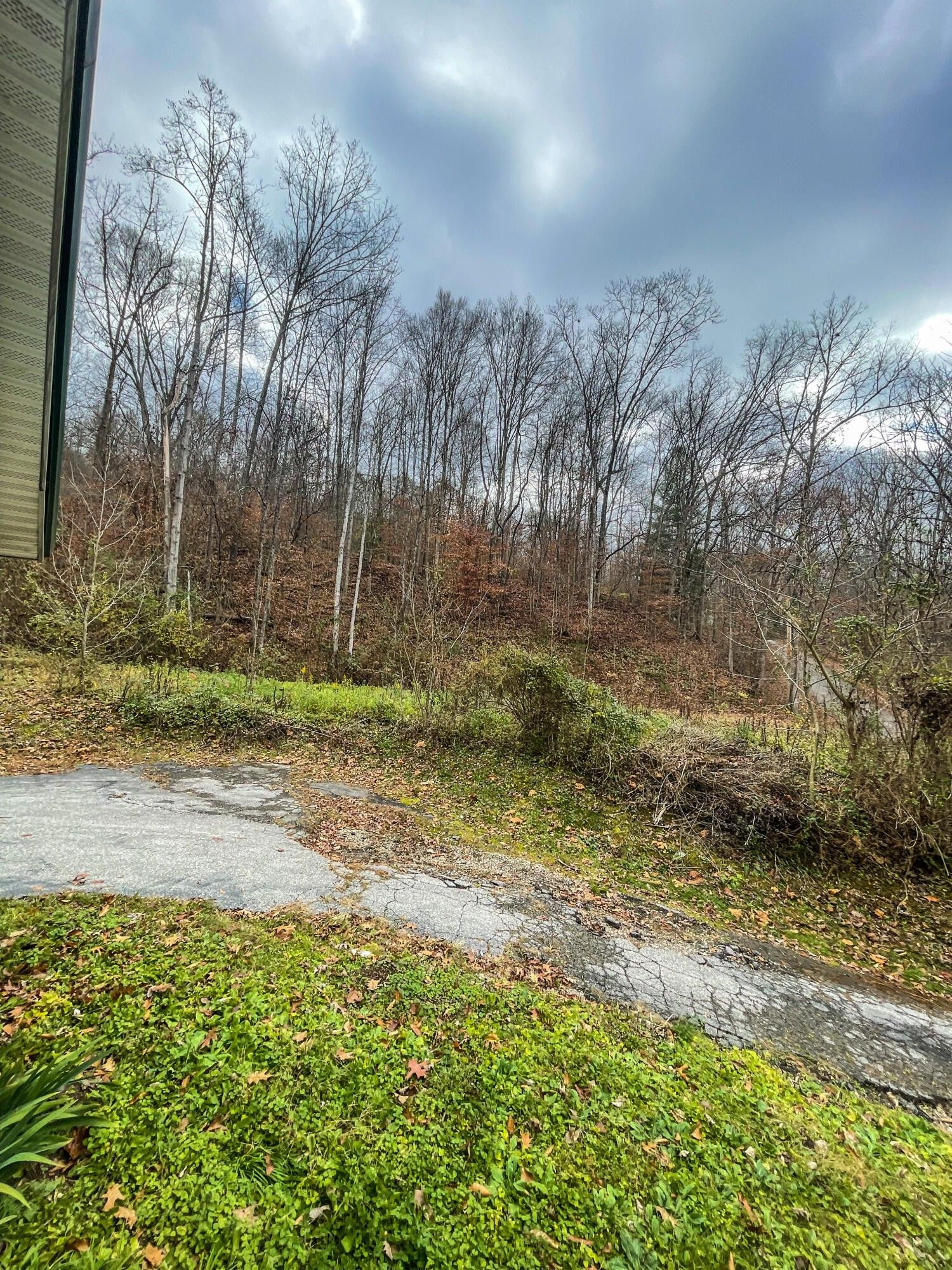 10 Mays Road, Beattyville, KY 41311 MLS 23022904 LandWatch